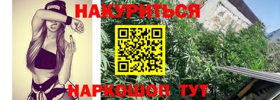 гашик Будённовск
