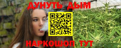 гашик Будённовск