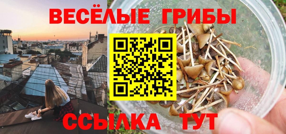 Галлюциногенные грибы ЛСД  Вход с VPN  Тосно 